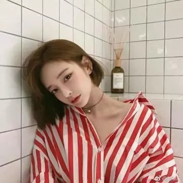 蜜蜂的秘密生活